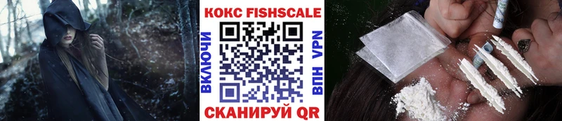 Купить где  Белая Холуница  Кокаин Fish Scale 